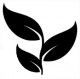 Herb Garden