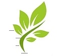 Sensory Garden