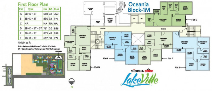 Oceania (Block-1M) - 1st Floor Plan