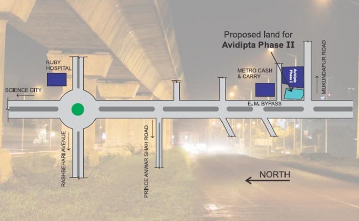 Avidipta Phase II