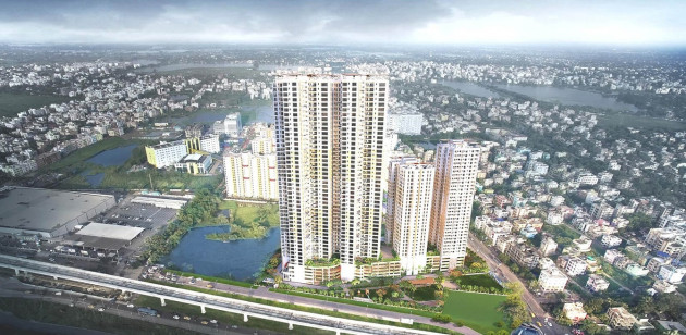 Avidipta Phase II