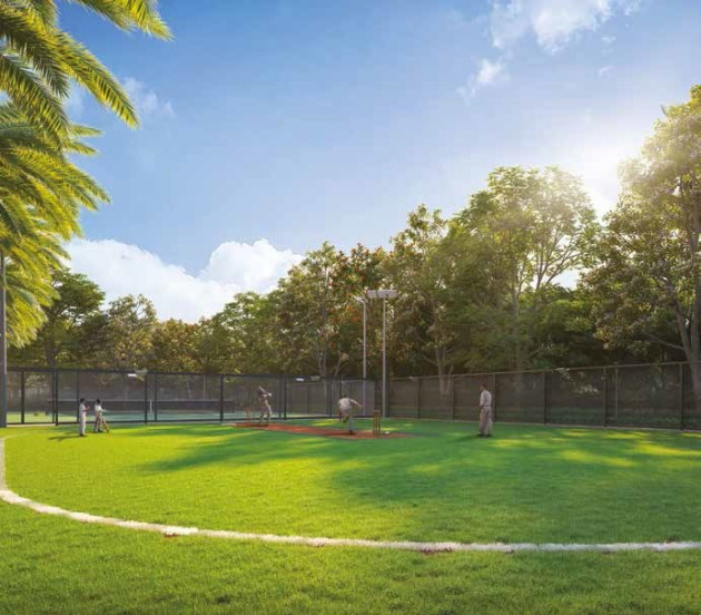 Cricket Turf Play Arena