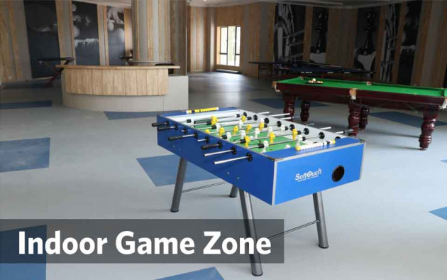 Indoor Game Zone