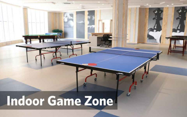 Indoor Game  Zone