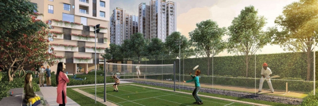 Cricket Net and Badminton Court
