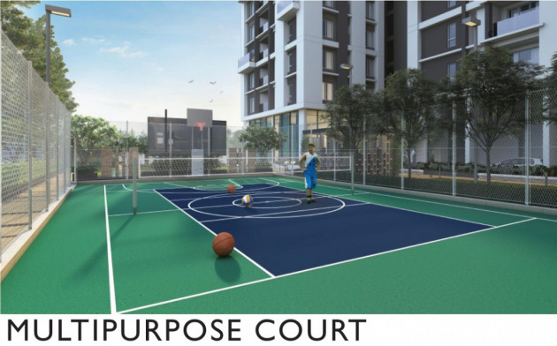 Multipurpose Court