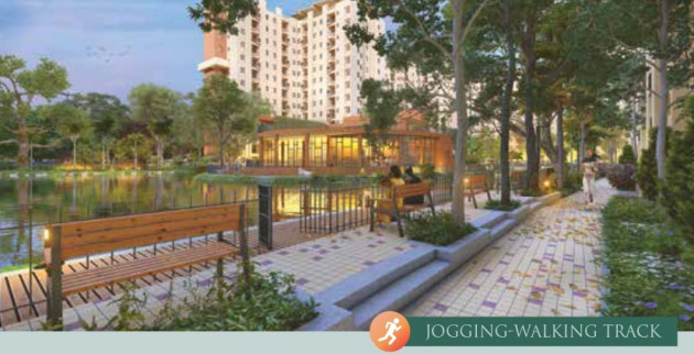 Jogging and Walking Track