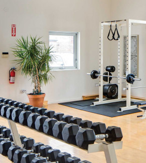 Gym<br><small>Not an actual image</small>