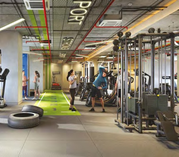 Gym   (In Dedicated Podium Club)