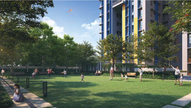 Leisure Lawn